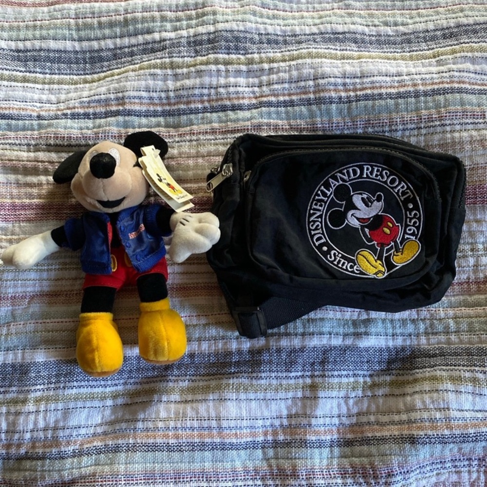 Mickey Mouse and Disney land pack